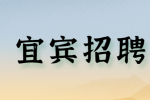 宜宾招聘前端开发工程师（宜宾） 10-15K·13薪