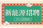 四川中专新能源汽车运用与维修学什么?