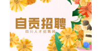 自贡人才网：教师招聘要求高吗?